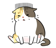 대동떡집 이미지
