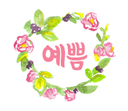 크림앤슈가 이미지