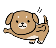 모텔렉스 이미지