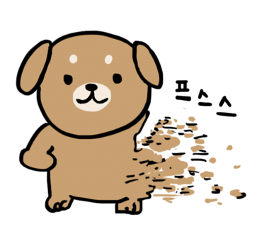 샐러디미아 이미지