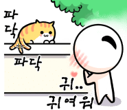 삼층고양이 이미지
