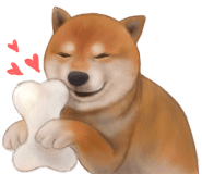 모디돌 이미지
