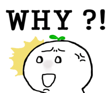 비룡각 이미지