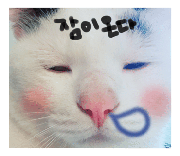 단비 이미지