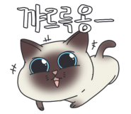 오*식 이미지