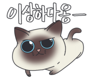 할랄푸드 이미지