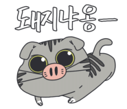오*식 이미지