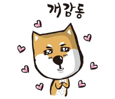 가야경 이미지