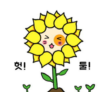 가평하늘커피농장 이미지