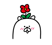 순두부청년 이미지