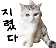 평택한우타운 이미지