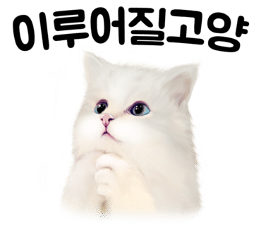 온천장고양이 이미지