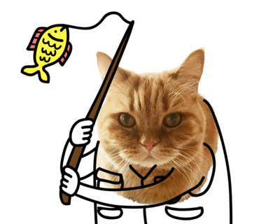 나만없어고양이 이미지