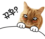 텐어클락 이미지