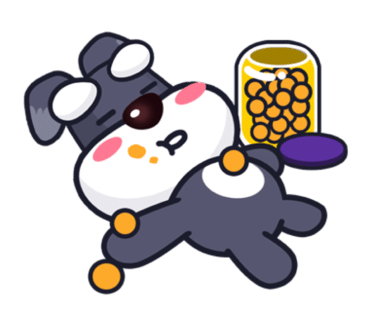 레인바우애견카페 이미지