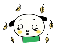 오픈솔루션 이미지