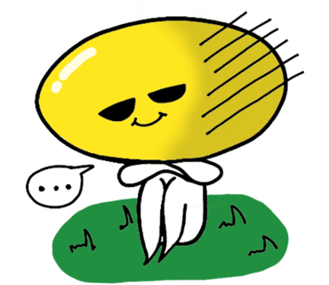 마카롱카페꼬끄시니 이미지