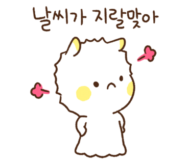 짜장짬뽕시대 이미지