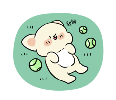 조히 이미지