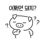 신안패키지 이미지