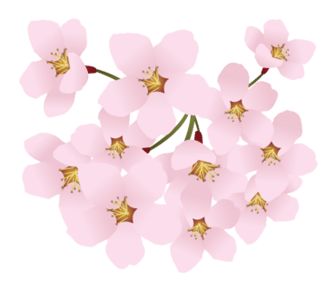 창플라워 이미지