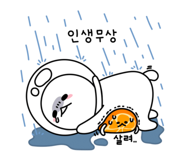 짜짜루 이미지