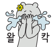 뜨레돌체 이미지
