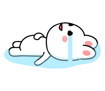 정도씨앤피 이미지