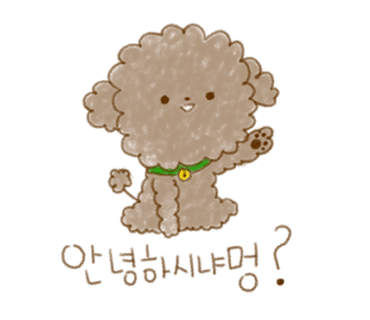피키요거트 이미지