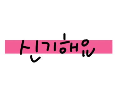 이현경애견미용학원 이미지