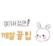 정안정 이미지