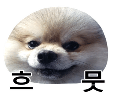 조에커피 이미지