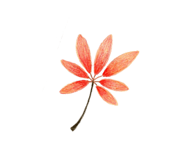 갸또디솔레 이미지