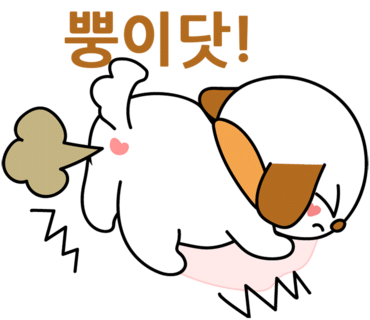 라이브죤 이미지