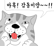 자연동침 이미지