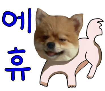 우자 이미지