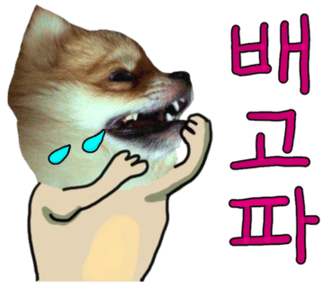 없 음 이미지