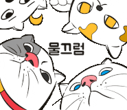 제주옥탑진해신항점 이미지
