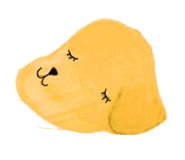 ƼĿ ̹