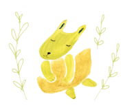 ƼĿ ̹