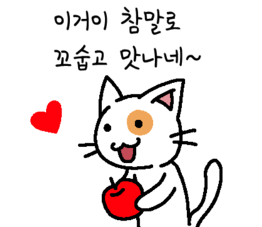 카도이 이미지