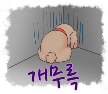 일5컷 이미지