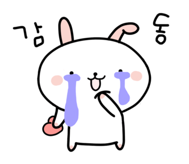 플로정아 이미지