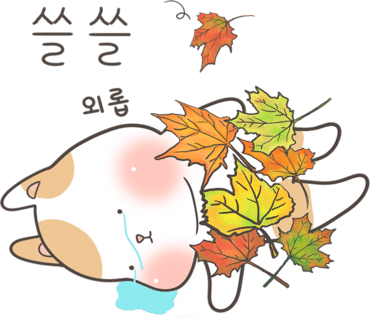 아이든 이미지