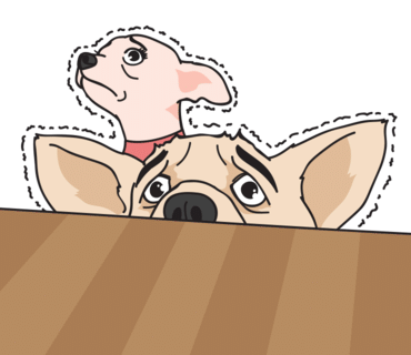 머슬카롱 이미지