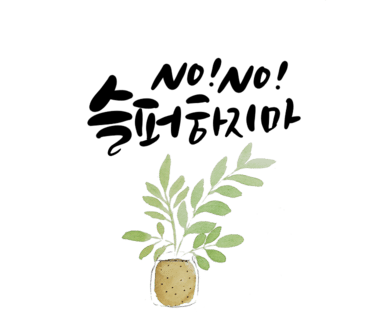 마시코코 이미지