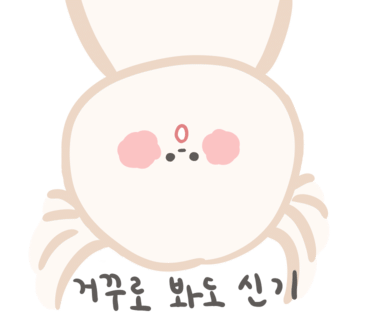 육하원칙충북 이미지