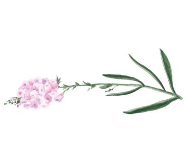 서영상사 이미지