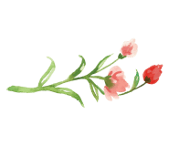 모디돌 이미지