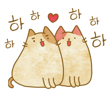 싸다공 이미지